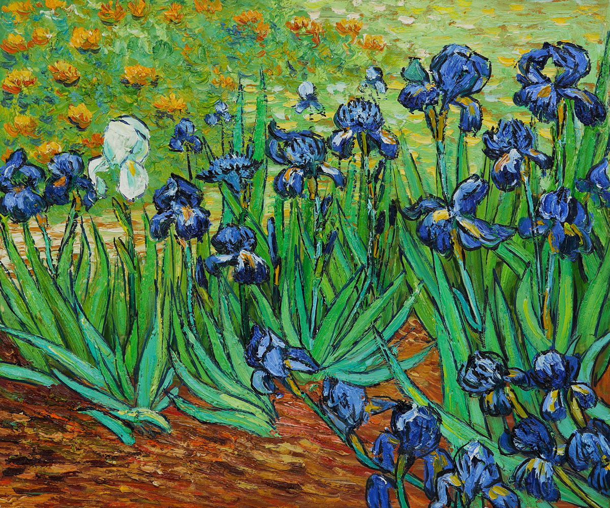Irises by Vincent Van Gogh - Click Image to Close